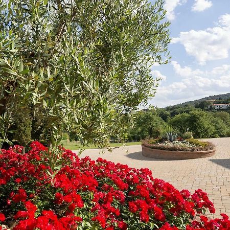 Poggio Pellicciaia Villa Arezzo Dış mekan fotoğraf