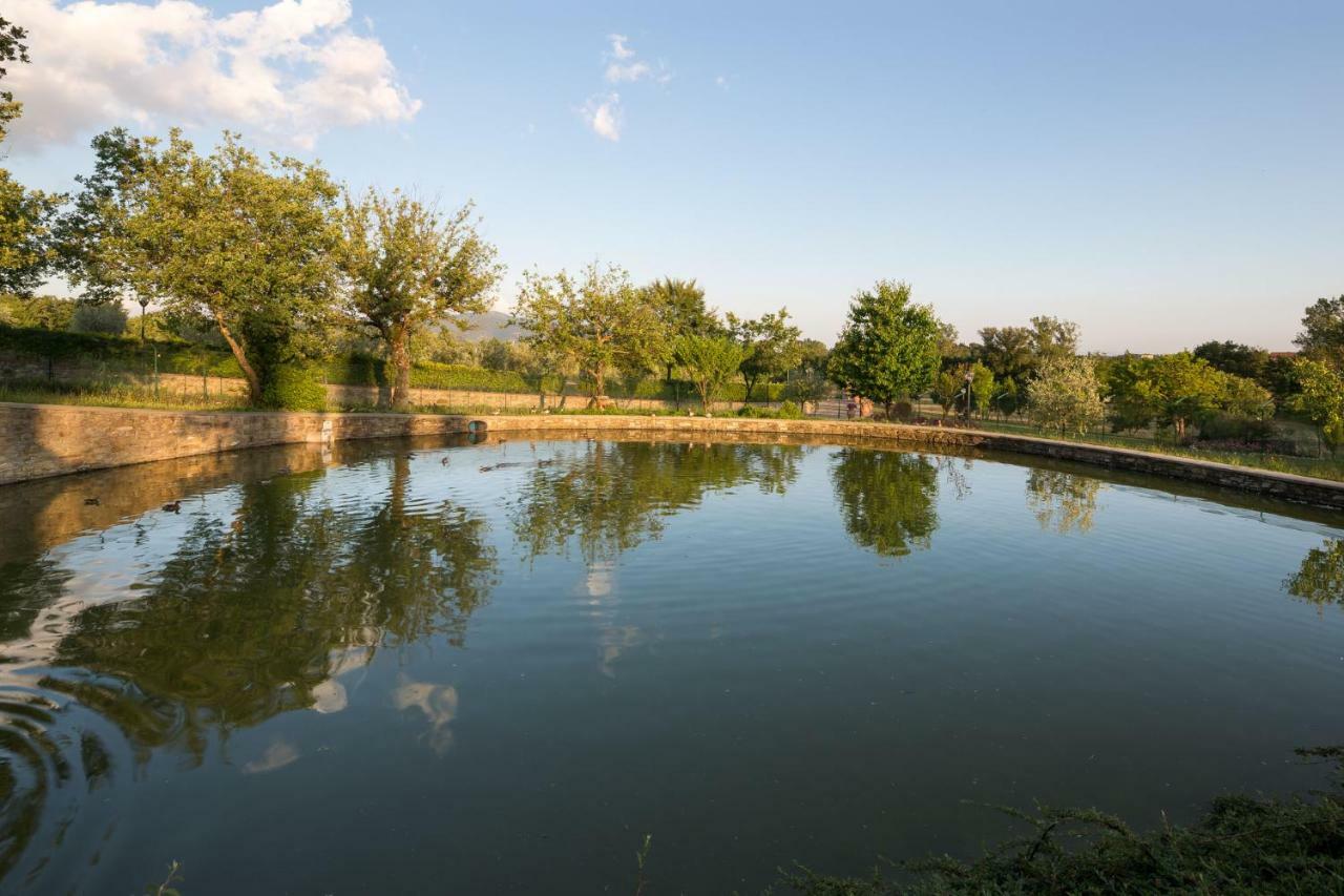 Poggio Pellicciaia Villa Arezzo Dış mekan fotoğraf