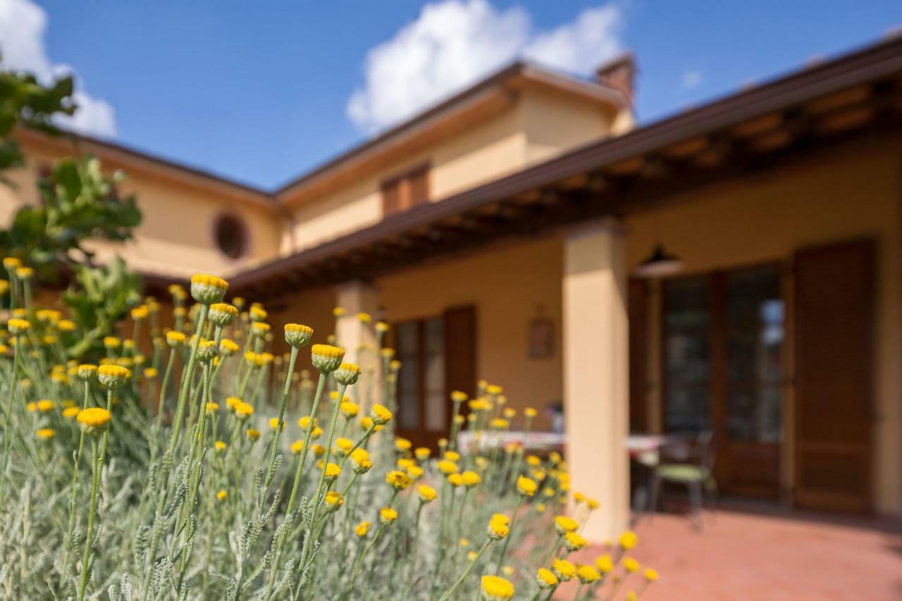 Poggio Pellicciaia Villa Arezzo Dış mekan fotoğraf